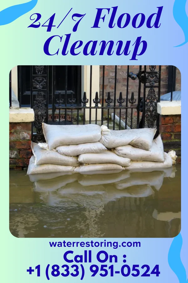 24/7 Flood Cleanup in Herbst, IN