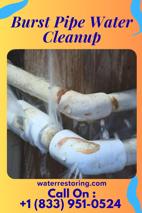 Burst Pipe Water Cleanup in Herbst, IN