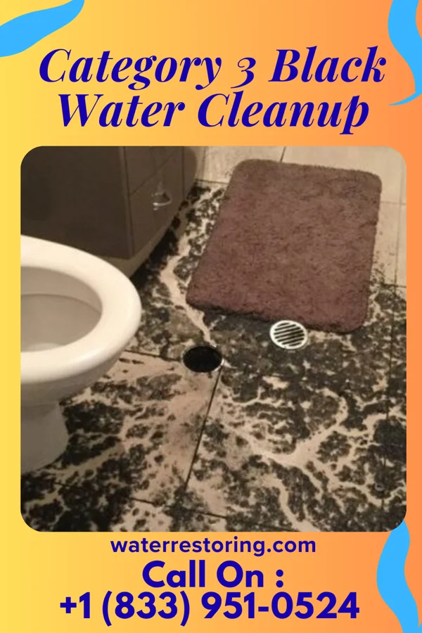 Category 3 Black Water Cleanup in Herbst, IN