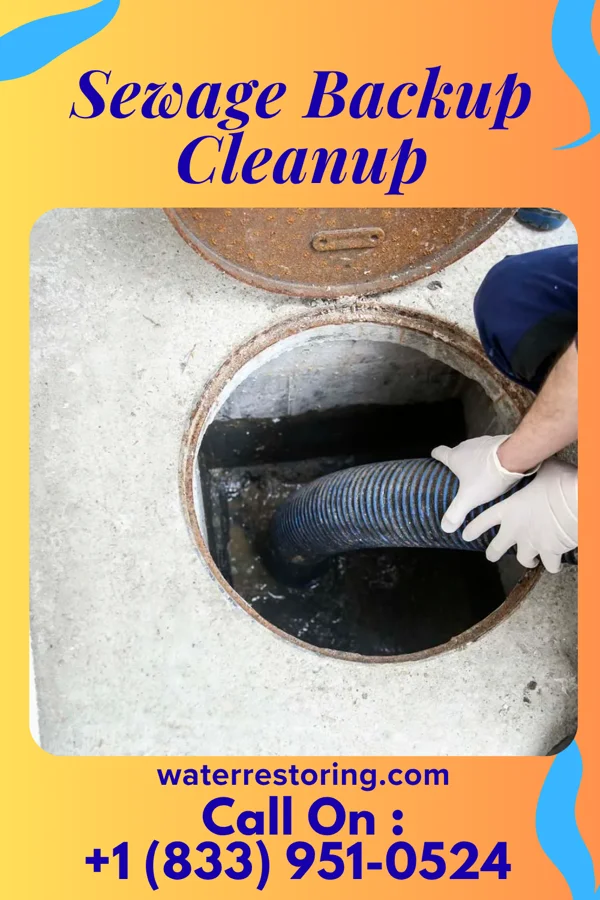 Sewage Backup Cleanup in Herbst, IN