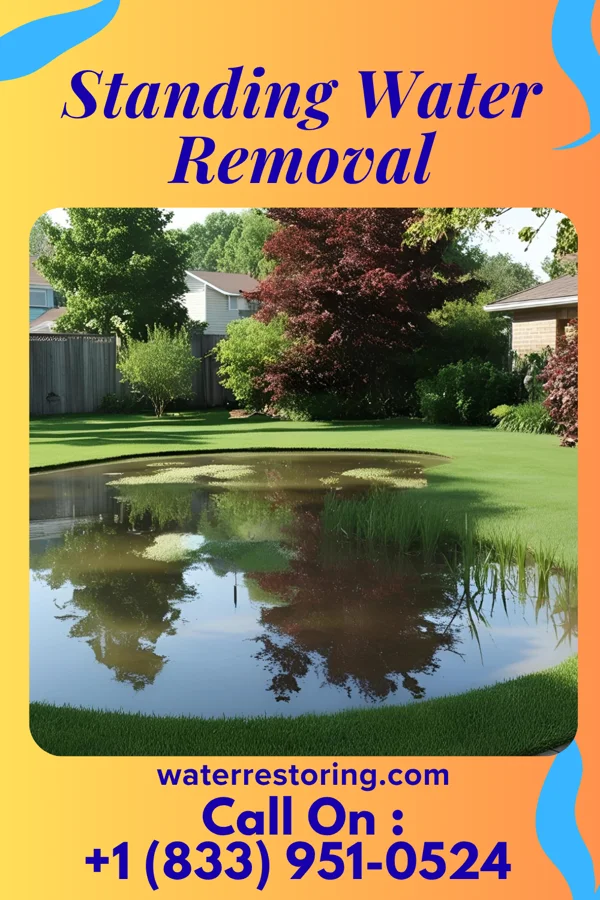Standing Water Removal in Herbst, IN